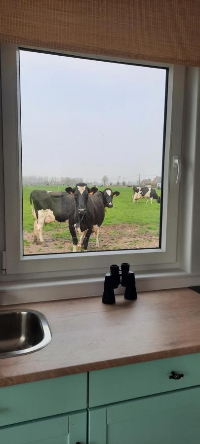 Villa La Vache Au Lit Damme Exterior foto
